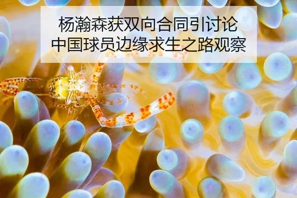 yang-han-sen-huo-shuang-xiang-he-tong-yin-tao-lun-zhong-guo-qiu-yuan-bian-yuan-qiu-sheng-zhi-lu-guan-cha-2-604.jpg